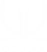 Ozawa